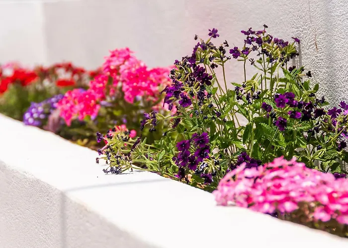 Epavli Boutique Hotel La Canea