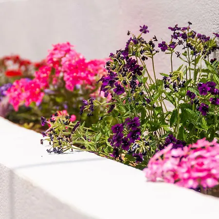 Epavli Boutique Hotel Chania (Crete)